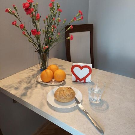 Wygodny Przestronny Apartament Janowskie Blonia Rumia Εξωτερικό φωτογραφία